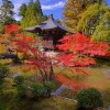 Bilder von japanischen Gärten