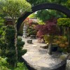 Garten japanisch