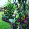 Tropische Gartenlandschaft