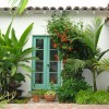 Tropische Gartenpflanzen
