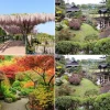 Bilder japanische Gärten