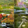 Fotos japanische Gärten