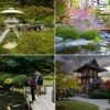Japanische Gärten Fotos