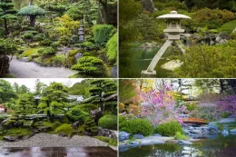 Japanische Gartenbäume und Pflanzen