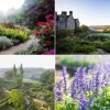 Klassischer englischer Garten