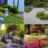 Pflanzen, die in japanischen Gärten verwendet werden
