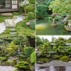 Pflanzen für die japanische Gartengestaltung