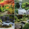 Pflanzen für einen Garten im japanischen Stil