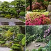 Pflanzen für japanische Gärten