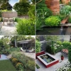 Pflanzen für moderne Gärten