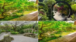 Wie man einen japanischen Garten gestaltet